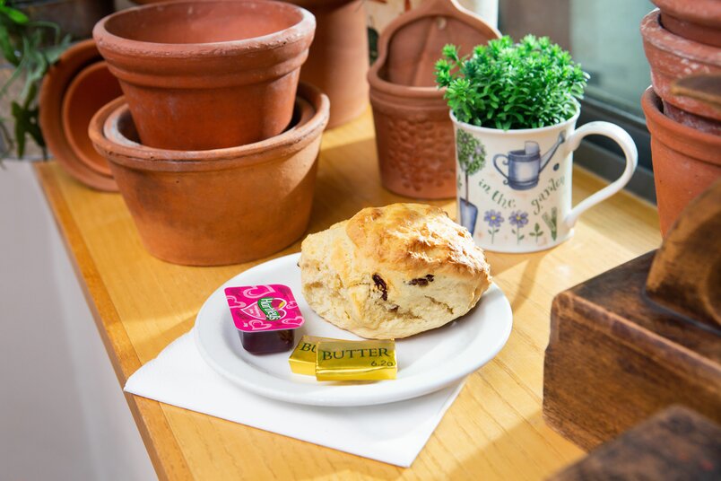 The Potting Shed