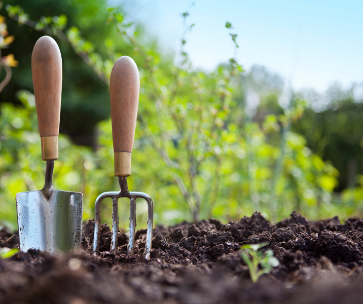 June's Gardening To-Do List!