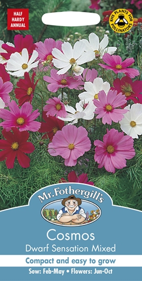 COSMOS Dwarf Sensation Mixed - Mackenzie Cruickshank Garden Centre webshop