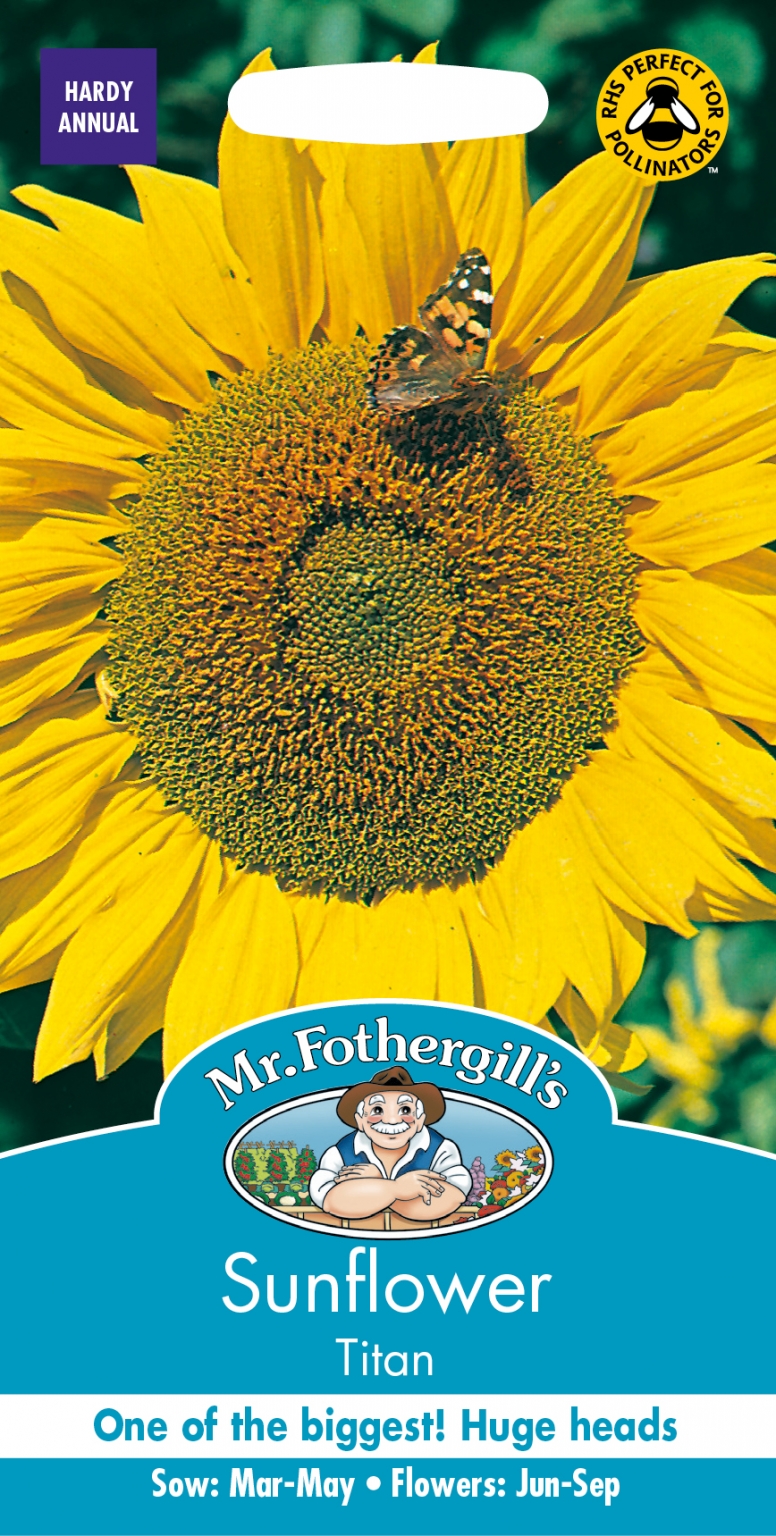 SUNFLOWER Titan - Mackenzie Cruickshank Garden Centre webshop